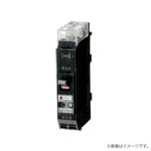 プラグインブレーカ PNX52TA-GL 2P 30A F30  PNX52TAGL2P30AF30〔代引不可〕｜lampya