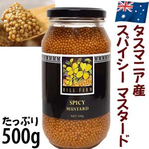 ヒルファーム スパイシーマスタード 500g