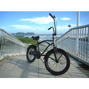 自転車 RAINBOW PCH101 20CR...の詳細画像1