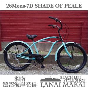 自転車 RAINBOW PCH101 267D シェイドオブペール レインボー