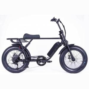 送料無料 期間限定 電動アシスト自転車 BRONX BUGGY-20 E-BIKE マットブラック 東京 神奈川 埼玉 千葉 地域限定販売 公道可 ファットバイク ファットタイヤ