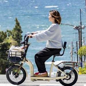 特定小型原動機付 自転車 HUDSON-RIV...の詳細画像5