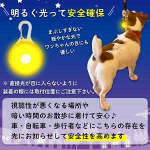 セーフティライト ペット用アクセサリー 犬 散...の詳細画像3