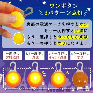 セーフティライト ペット用アクセサリー 犬 散...の詳細画像4