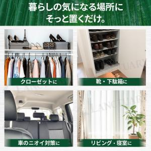 竹炭防臭 乾燥剤8個 除湿剤 消臭剤 脱臭剤 ...の詳細画像2