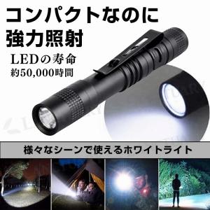 ハンディ LEDライト ペンライト 2個セット...の詳細画像2