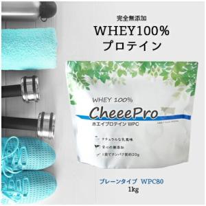 DNS（ディーエヌエス） プロテインホエイ100 PROTEIN WHEY100 2000g