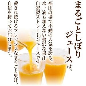 ストレート 果汁 100% ジュース 九州まる...の詳細画像2
