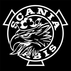 車エンブレム 鳥の商品一覧 通販 Yahoo ショッピング