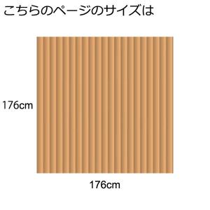 アウトレット 籐カーペット 籐むしろ 2畳 江...の詳細画像1