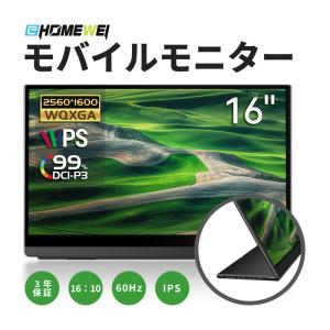 EHOMEWEI 【法人限定商品】モバイルモニター RO-160PU 16インチ