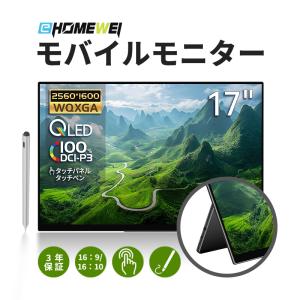 EHOMEWEI モバイルモニター EHOMEWEI RQG-170PW ゲーミングモニター 高