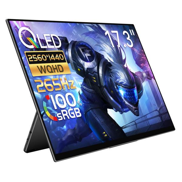 モバイルモニター EHOMEWEI RQHG-173NW 高性能  2.5K 144Hz 高画質 モ...