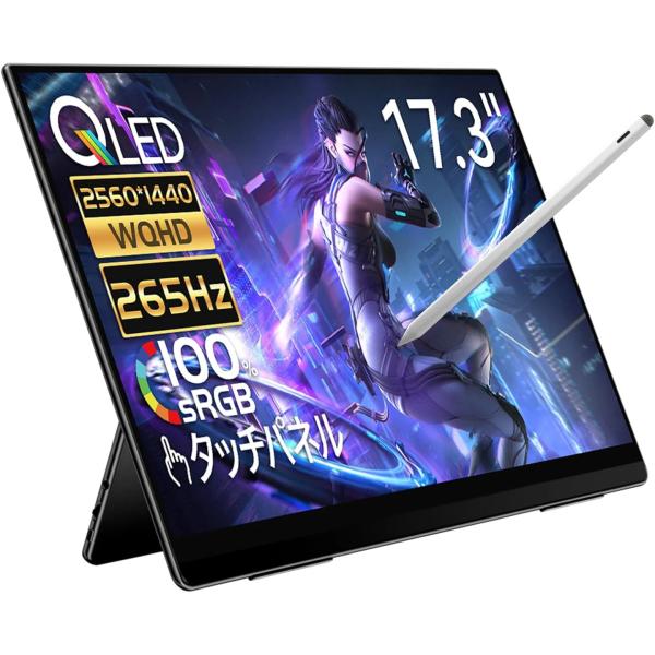 モバイルモニター EHOMEWEI RQHG-173PW ゲーミングモニター 高性能  2K タッチ...