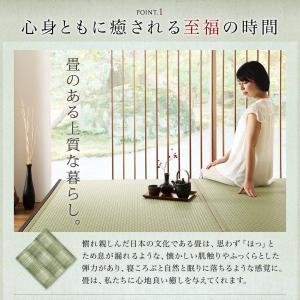 畳ベッド シングル 布団を収納 美草 小上がり...の詳細画像3