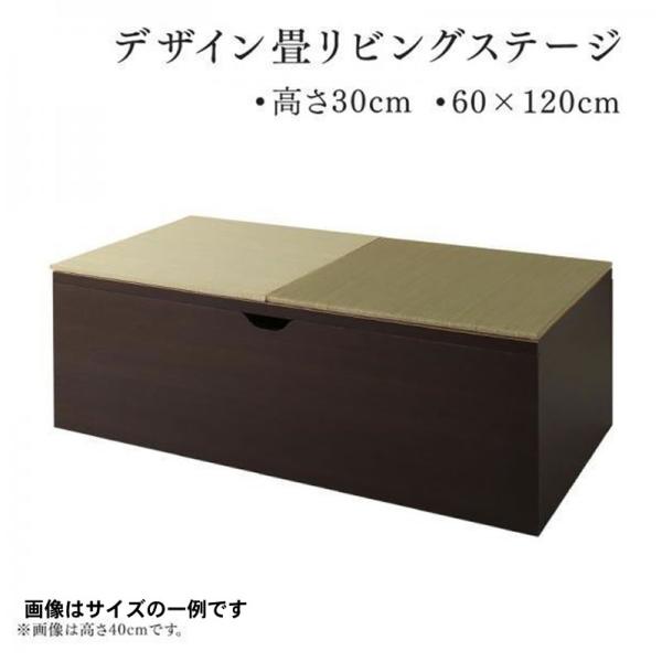 畳リビングステージ 畳ボックス収納 60×120cm ロータイプ 日本製