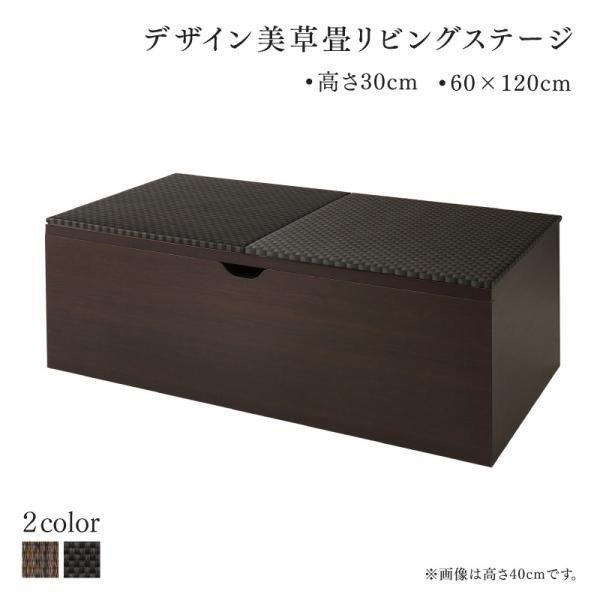 美草畳リビングステージ 畳ボックス収納 120×60cm ロータイプ 国産
