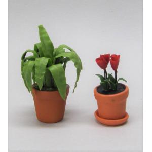 チューリップ 鉢植え 楽器 手芸 コレクション の商品一覧 通販 Yahoo ショッピング