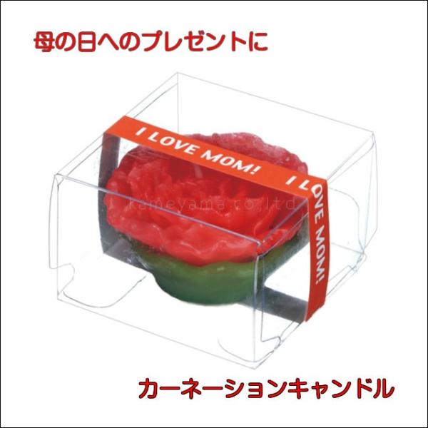 カーネーション キャンドル 母の日 ギフト プレゼント バースデー 誕生日 ネコポス