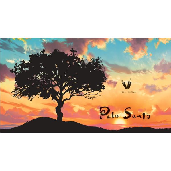 パロサントノオト ハーフ寸平箱 お香 インセンス パロサント palo santo アロマ 浄化