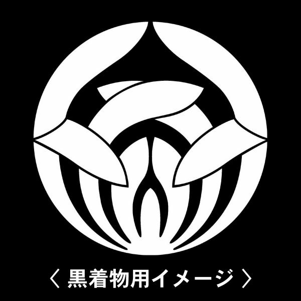【 抱き蘭の花 紋 】6枚入(布製のシール)羽織や着物に貼る家紋シール。男性 女性 留袖 黒紋付 白...