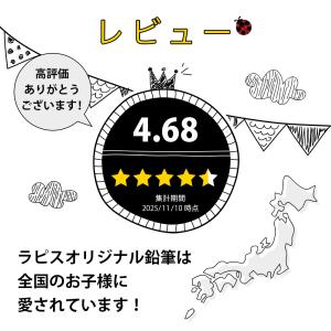 鉛筆 名入れ ブリックカラー鉛筆 2B 赤鉛筆...の詳細画像5