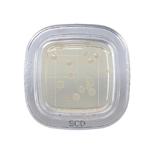 【直送・代引き不可】 ぺたんチェック DD SCD寒天培地 PD0023 2-6430-30