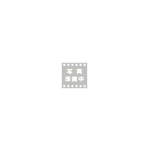 日進工具 チャンピオンソリッドセミロング刃エンドミル NCM-2 0.8