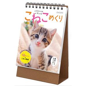 シーオーツー こねこめくり 2023年 卓上カレンダー 週めくり CK-C23-03