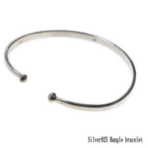 AQUA SILVER（アクアシルバー） アクアフォーティス AQUA FORTIS