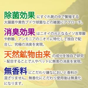 テレビで話題【日本製 靴用消臭スプレー】ダッシ...の詳細画像4