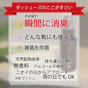 テレビで話題【日本製 靴用消臭スプレー】ダッシ...の詳細画像2