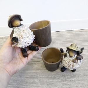 ディスプレイとしてかわいい♪ ミニプランター ...の詳細画像5
