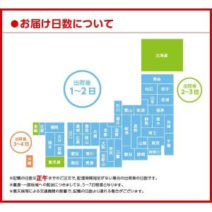 コカ・コーラ社製品 アクエリアス経口補水液 5...の詳細画像2