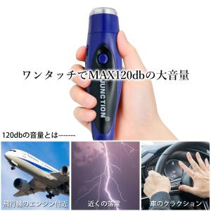 電子ホイッスル ブルー スポーツ 大音量 電池...の詳細画像3