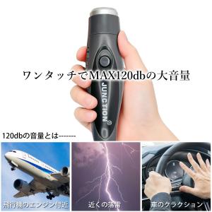 電子ホイッスル グレー スポーツ 大音量 電池...の詳細画像3
