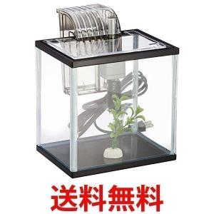 テトラ 水槽 ラクラクお手入れ金魚セット 金魚用 SS サイズ Tetra