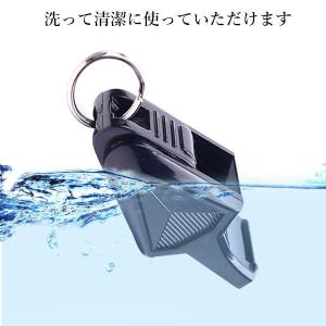 ホイッスル ドルフィン バレーボール 保育 大...の詳細画像4