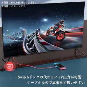 Switch スイッチ 変換ケーブル 変換アダ...の詳細画像2