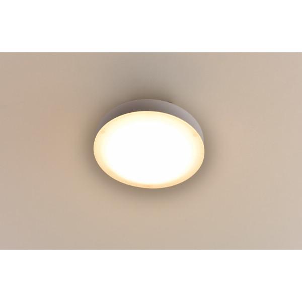 ギフト ヤマゼン LEDミニシーリングライト（電球色） 昼白色 MLC‐070L 53841