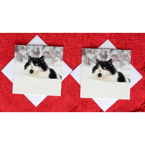 雪の中の猫のクリスマスカード【2枚組・封筒付き】