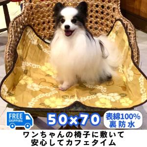 ロイヤルカナン（ROYAL CANIN） 犬用 ユリナリーS/O 缶 200g×12缶