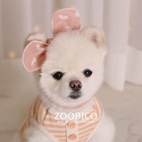Zoobico ズービコ マカロンスカーフ 5色 Lサイズ小型犬用服 スカーフ 韓国犬服
