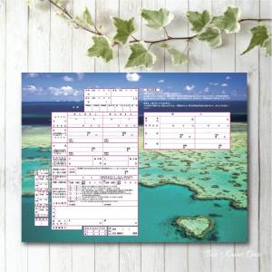 デザイン婚姻届『グレートバリアリーフ』 オリジナル婚姻届