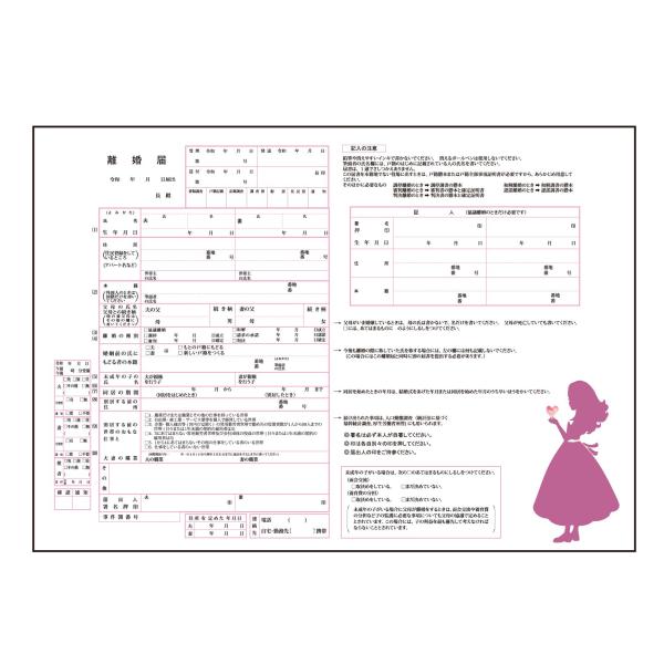 【テレビ放送記念】デザイン離婚届『プリンセス：伝えたい想い』オリジナル離婚届 御守・引き留め・浮気防...