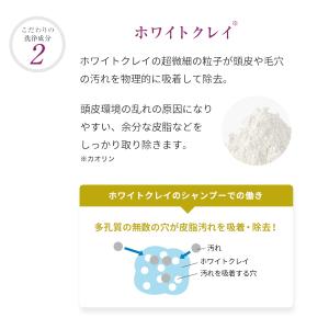 【公式店限定5%OFF】ラサーナ 海藻 海泥 ...の詳細画像3