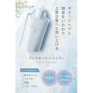 ラサーナ プレミオール シャンプー 詰め替え用...の詳細画像1