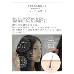 ラサーナ プレミオール シャンプー 詰め替え用...の詳細画像3