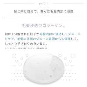 ラサーナ プレミオール トリートメント 詰め替...の詳細画像5