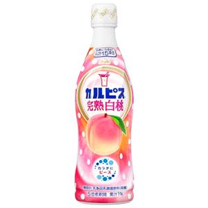 アサヒ飲料 カルピス 完熟白桃 470ml×12本 [希釈用]｜lasantalease